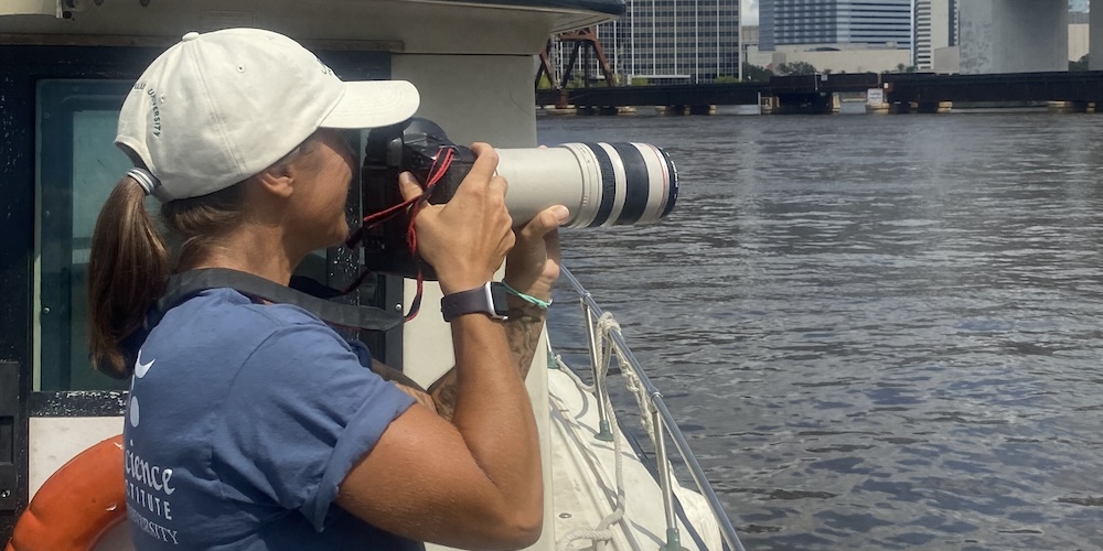 Dr. Mancia surveying dolphins in St. Johns River