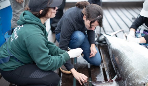 JU student working up shark