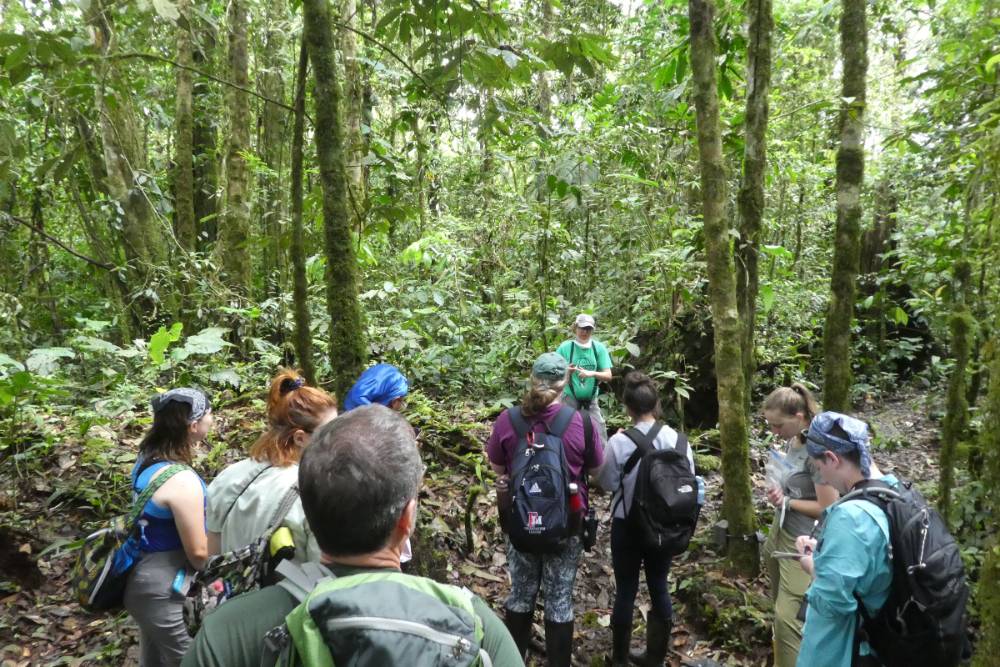 Professor explaining camera work to students in an Ecuador jungle.