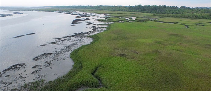 Oyster Reef Assessment