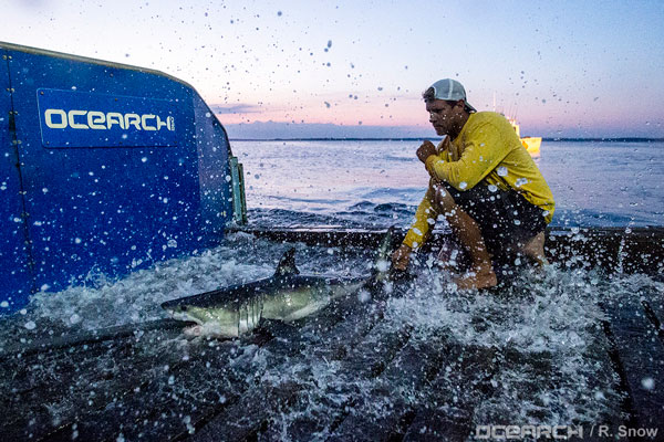 OCEARCH