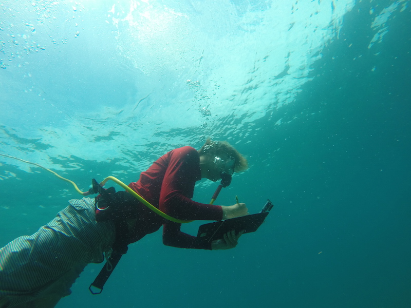 A student writing data underwater