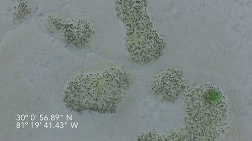 A view of oyster reefs from an Unmanned Aerial System.