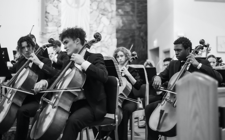 Musicians performing in an orchestra.