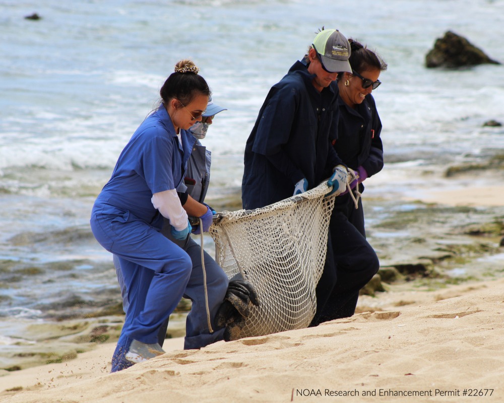 JU grad student Hunter Nueku rescues a seal.