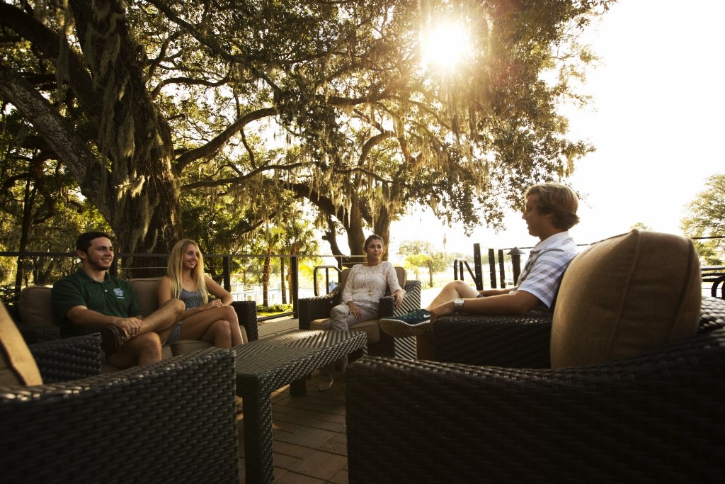 students sit in chairs talking under large trees