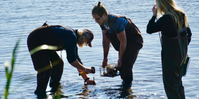 Students place the enclosures into the water.