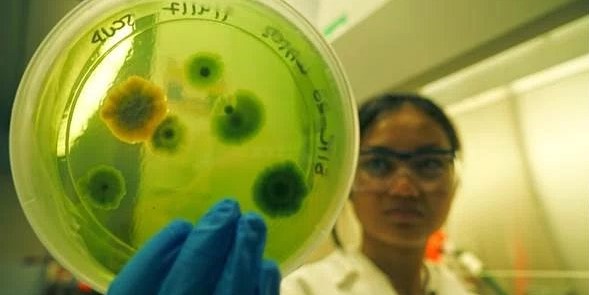 student holds petri dish