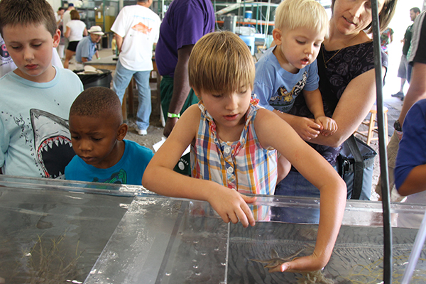 Kids experiencing marine life at summer camp